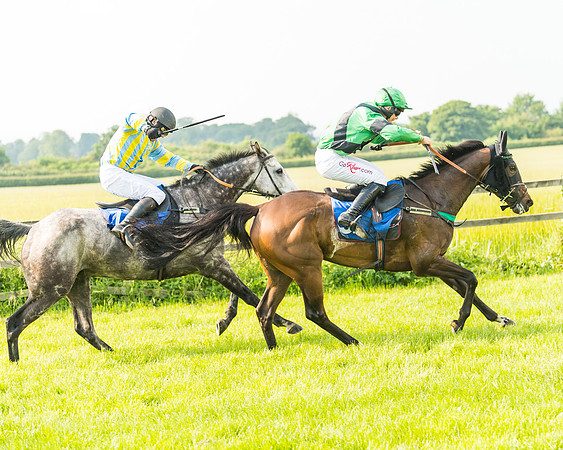 Race 5 - Restricted Race (57 of 74)