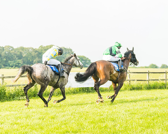 Race 5 - Restricted Race (58 of 74)