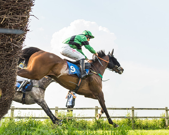 Race 5 - Restricted Race (59 of 74)