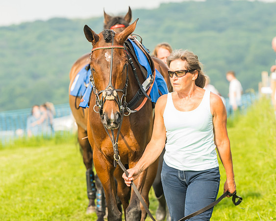 Race 6 - Open Maiden (3 of 96)
