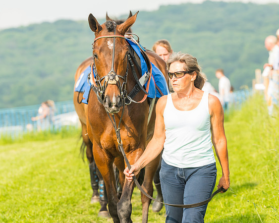 Race 6 - Open Maiden (4 of 96)