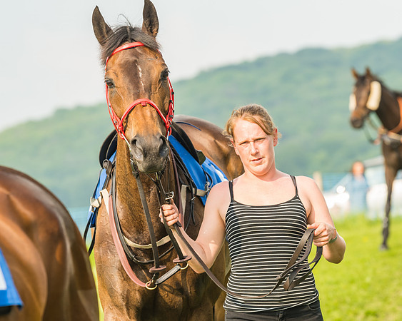 Race 6 - Open Maiden (5 of 96)