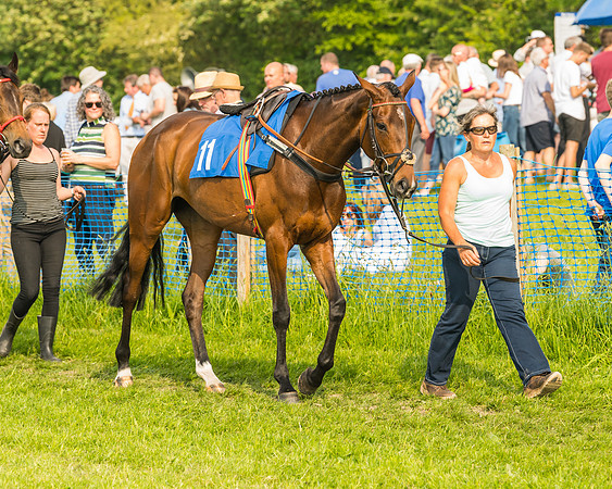 Race 6 - Open Maiden (10 of 96)