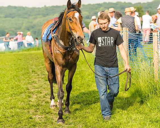 Race 6 - Open Maiden (14 of 96)