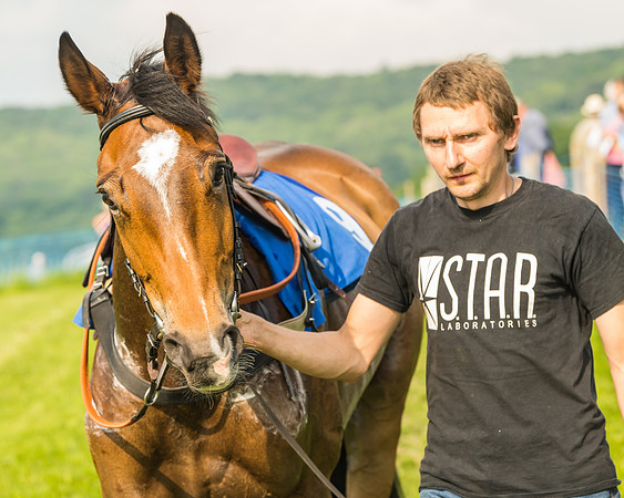 Race 6 - Open Maiden (15 of 96)