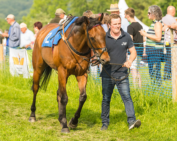 Race 6 - Open Maiden (17 of 96)