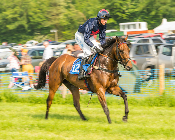 Race 6 - Open Maiden (19 of 96)