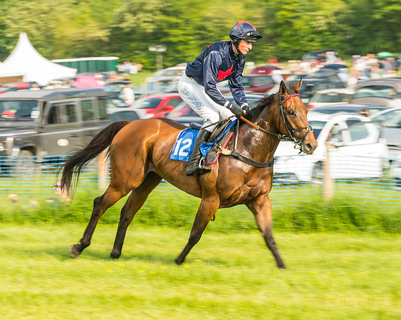 Race 6 - Open Maiden (20 of 96)