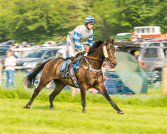 Race 6 - Open Maiden (21 of 96)