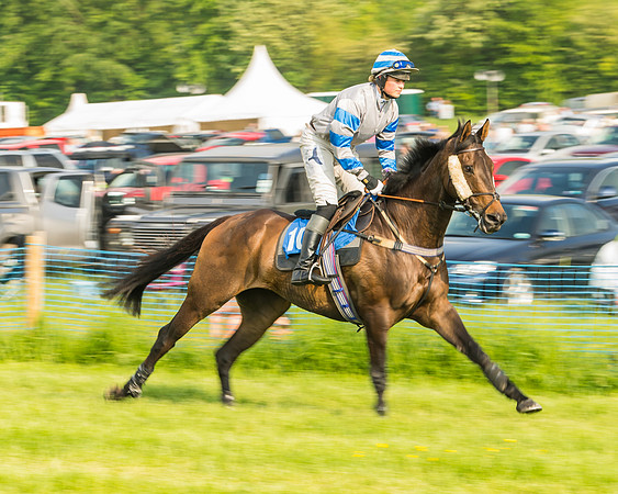 Race 6 - Open Maiden (22 of 96)