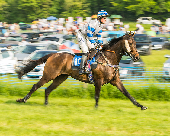 Race 6 - Open Maiden (23 of 96)