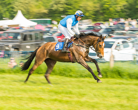Race 6 - Open Maiden (24 of 96)