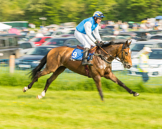 Race 6 - Open Maiden (25 of 96)