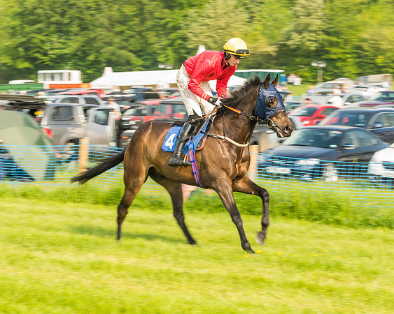 Race 6 - Open Maiden (26 of 96)