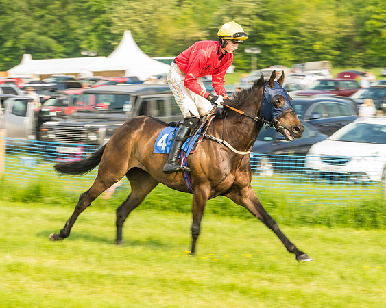 Race 6 - Open Maiden (27 of 96)