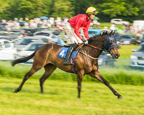 Race 6 - Open Maiden (28 of 96)