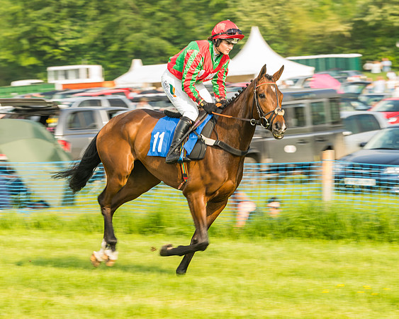 Race 6 - Open Maiden (29 of 96)