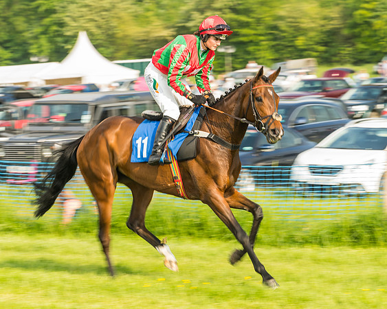 Race 6 - Open Maiden (30 of 96)