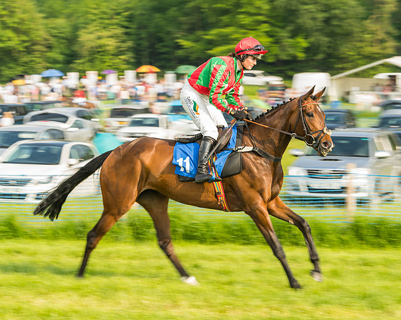 Race 6 - Open Maiden (31 of 96)