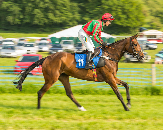 Race 6 - Open Maiden (32 of 96)