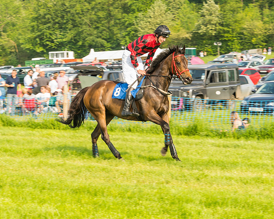 Race 6 - Open Maiden (33 of 96)
