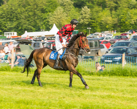 Race 6 - Open Maiden (34 of 96)