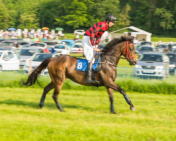 Race 6 - Open Maiden (35 of 96)