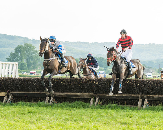 Race 6 - Open Maiden (39 of 96)