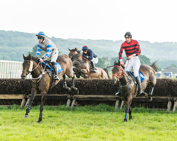 Race 6 - Open Maiden (41 of 96)