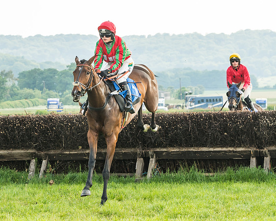 Race 6 - Open Maiden (44 of 96)