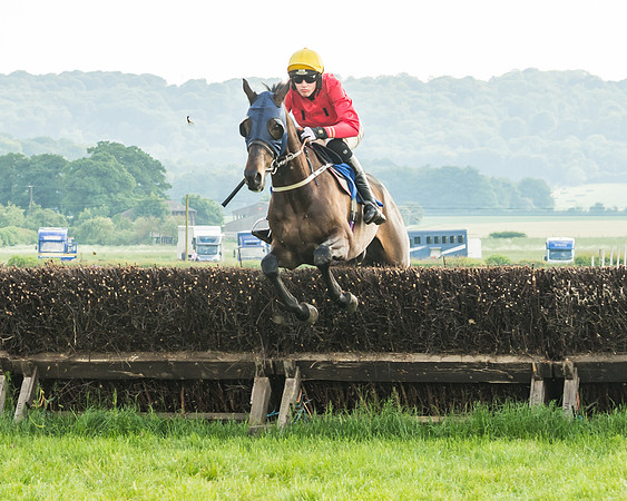 Race 6 - Open Maiden (45 of 96)