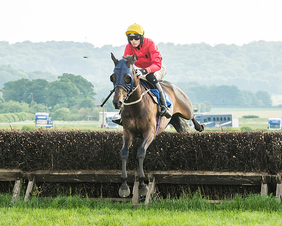 Race 6 - Open Maiden (46 of 96)