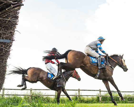 Race 6 - Open Maiden (48 of 96)