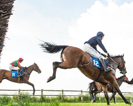 Race 6 - Open Maiden (49 of 96)