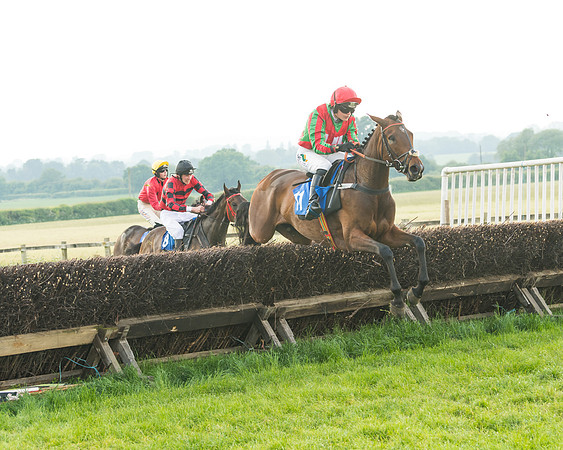 Race 6 - Open Maiden (60 of 96)