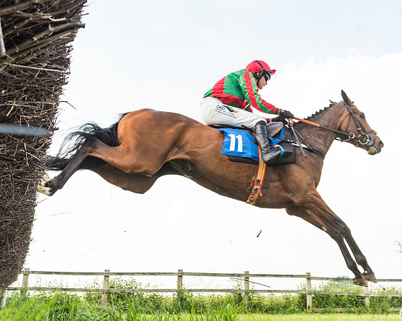 Race 6 - Open Maiden (67 of 96)