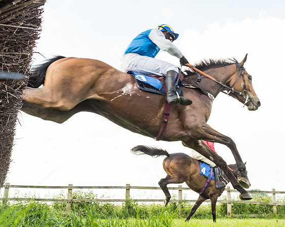 Race 6 - Open Maiden (68 of 96)