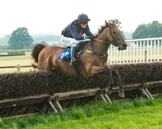 Race 6 - Open Maiden (71 of 96)