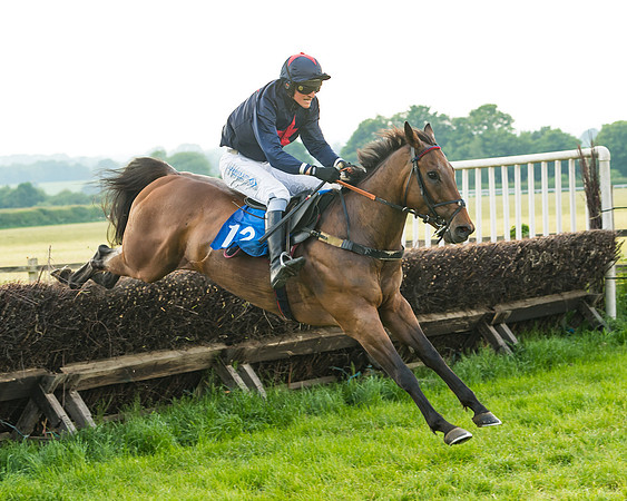 Race 6 - Open Maiden (72 of 96)