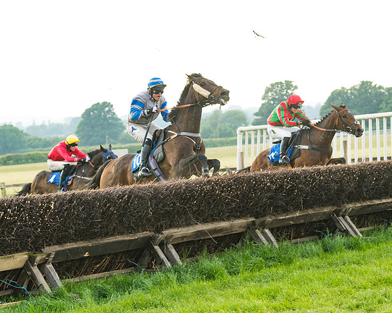 Race 6 - Open Maiden (73 of 96)