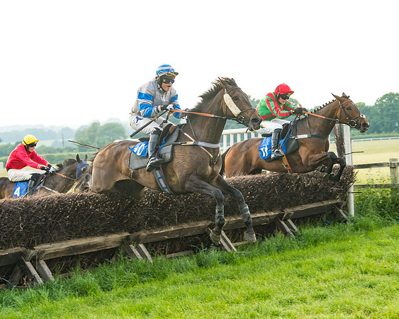 Race 6 - Open Maiden (75 of 96)