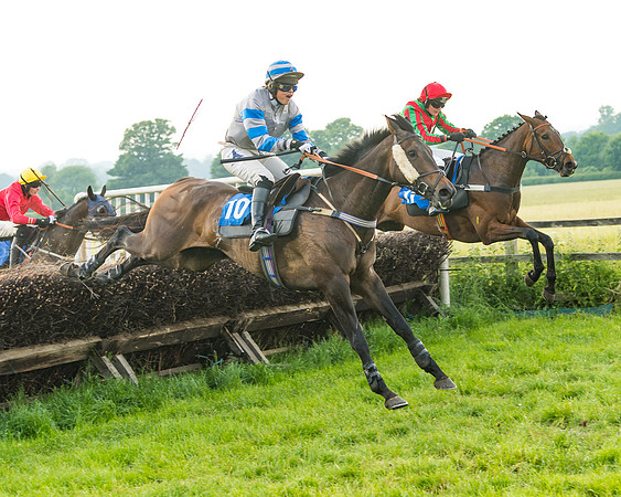 Race 6 - Open Maiden (76 of 96)