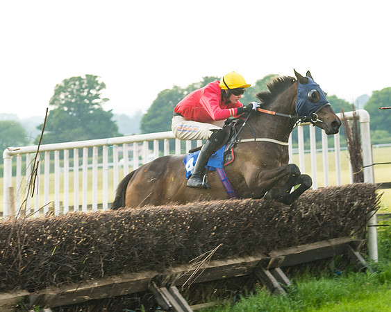 Race 6 - Open Maiden (77 of 96)