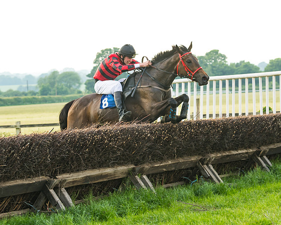 Race 6 - Open Maiden (82 of 96)