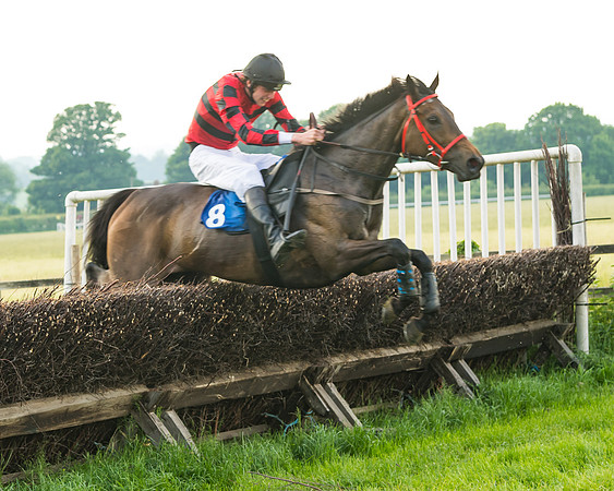 Race 6 - Open Maiden (83 of 96)