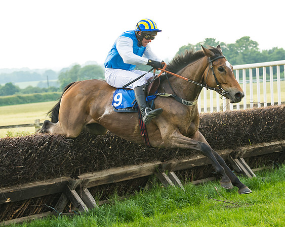 Race 6 - Open Maiden (85 of 96)