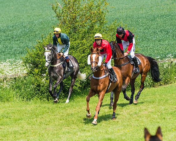 Conditions Race