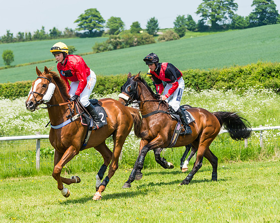Conditions Race