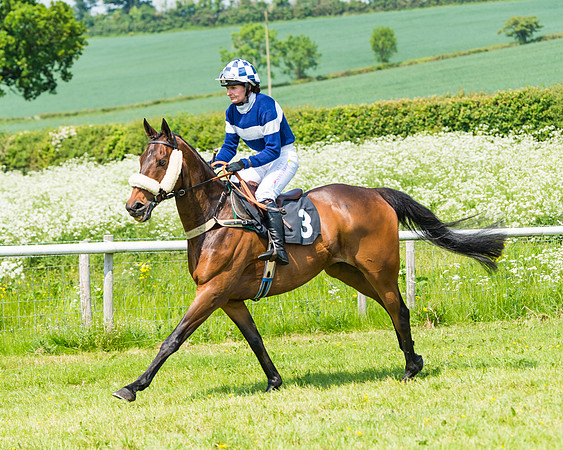 Conditions Race