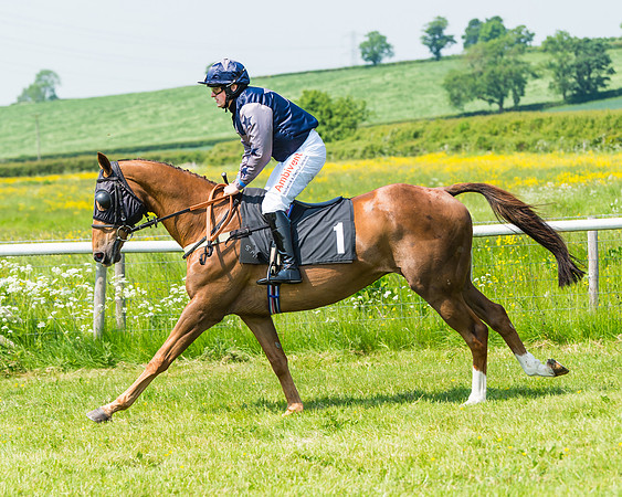 Conditions Race